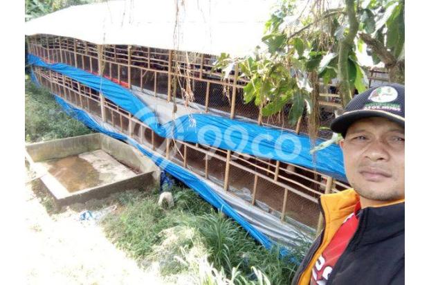 Jual kandang ayam dan tanah Di Coblong Megamendung, Bogor