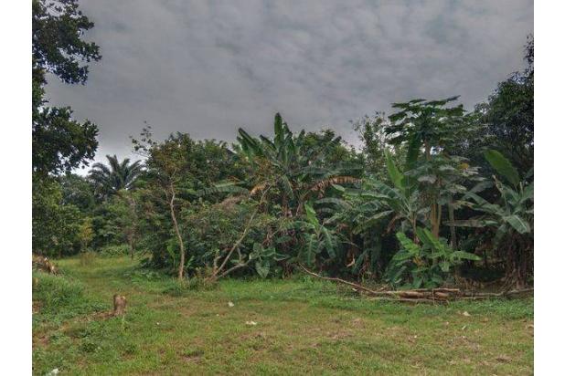 Dijual Tanah di Kavling platira II gunung sindur bogorCPA10229AT