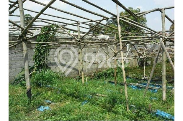 Tanah Sawah Kebun Lembang Jayagiri Jl. Taman Junghuhn 760 m²