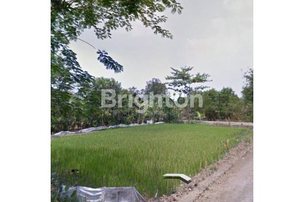 TANAH KEPOH DESA LAWU