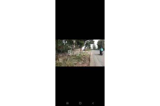 di  lahan pinggir jln provinsi