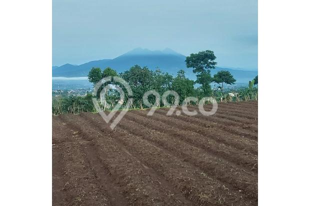 Jual murahTanah cisarua puncak best akses