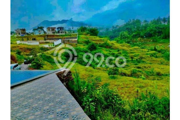 Tanah Bebas Polusi Di Kawasan Puncak Bogor