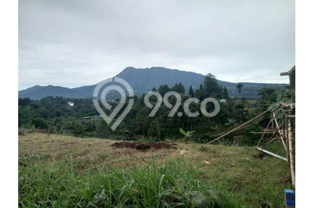 Jual Tanah 5000 Meter Hanya 400.000 Ribu Meter Lokasi Puncak 