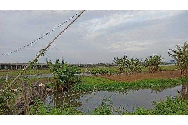 Tanah Super Murah Untuk Perumahan Dekat Tol Kawasan Industri