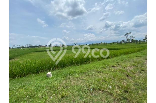 TANAH DIJUAL DI SEKARPORO PAKIS, MALANG