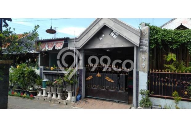 Jl. Taruna Gg Masjid Wage Taman Sidoarjo