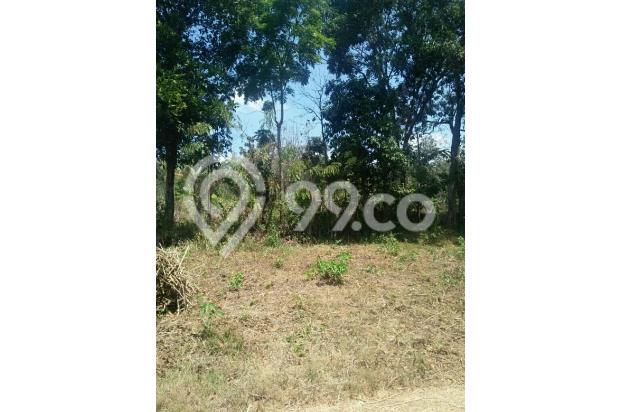 Tanah murah Randu Agung Singosari Malang