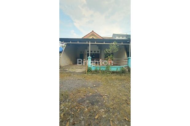 PURI LIDAH KULON, SIAP HUNI