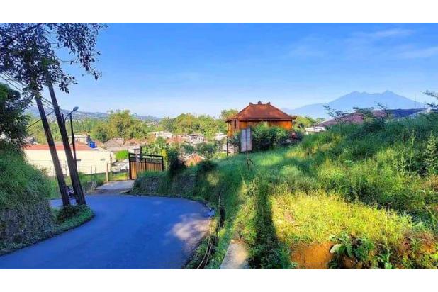 Jual tanah nempel ke jalan dekat wisata safari puncak bogor