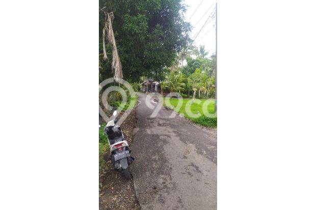 Tanah di tengah sawah view jungle sungai kecil