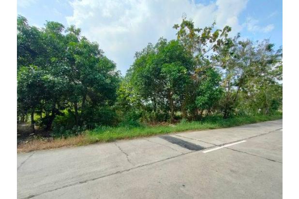 Tanah Zona Industri Area Nguter Sukoharjo