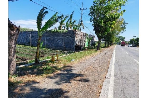 1,5 km dari PintuTol Gending Lahan utk Pabrik & Gudang 0 KM Pr