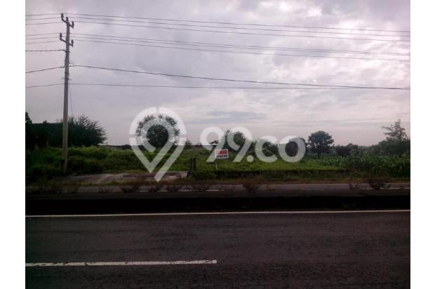 Tanah Lamongan Babat Sudah Urug Strategis Hadap Jalan Raya