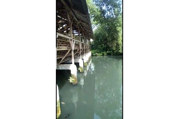 Kolam Ikan & kandang Ayam Petelur Di Tasikmalaya Jawa Barat.