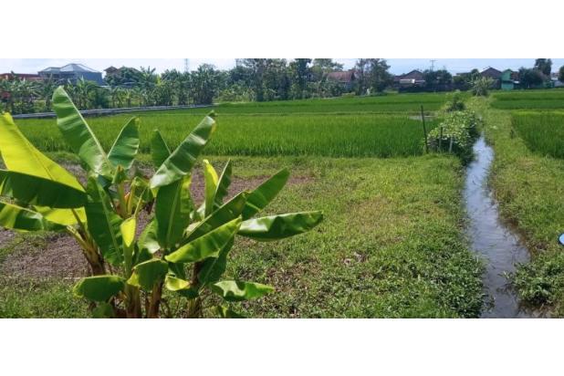 Dijual Tanah Bagus Di Baturetno banguntapan bantul Yogyakarta(