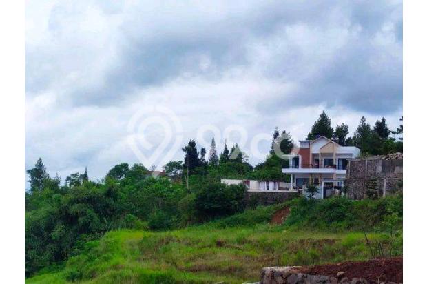 Di Jual Tanah Strategis Di Puncak Bogor Dekat Wisata 