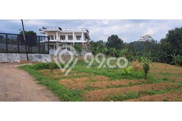 JUAL TANAH MURAH LEGALITAS SHM DI PUNCAK BOGOR 