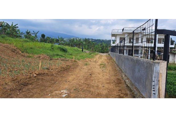 JUAL TANAH MURAH LEGALITAS SHM DI PUNCAK BOGOR