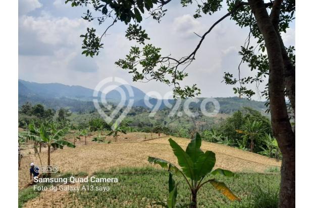 Tanah best view gunung dan sawah di Sukamakmur Bogor