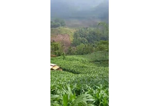 Dijual Murah Tanah SHM Sunset Pesona Jati Ciwangi Garut