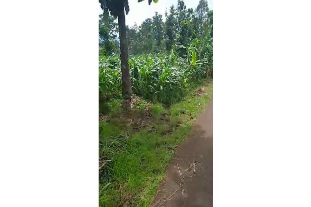 Dijual Murah Tanah SHM Sunset Pesona Jati Ciwangi Garut
