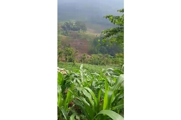 Dijual Murah Tanah SHM Sunset Pesona Jati Ciwangi Garut