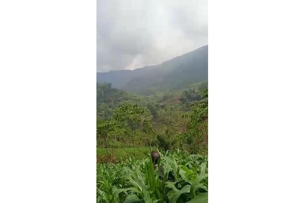 Dijual Murah Tanah SHM Sunset Pesona Jati Ciwangi Garut