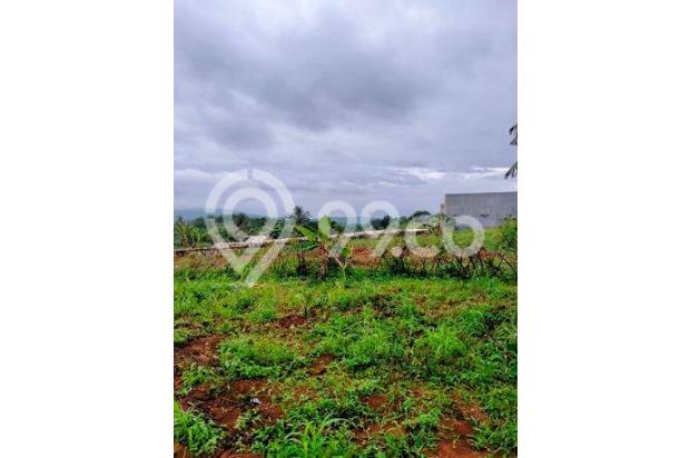 lokasi buat investasi sentul city dekat ke pintu tol sentul selatan bogor