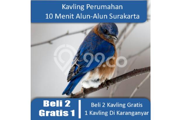 Kapling Istimewa, Beli 2 Gratis