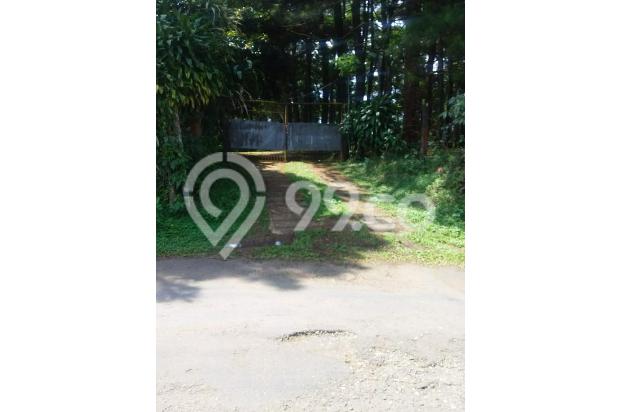 Tanah Jl Lodaya ds Gunung Geulis (ds)