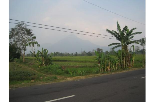 Tnh Purworejo Mojokerto 0 Jln Utama Menuju Trawas