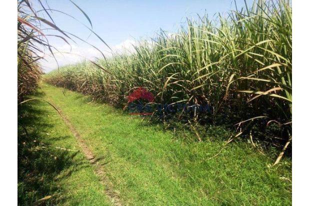 Tanah Di Banjarejo, Kediri 2.760 M, Sudah Shm, Diapit 2 Jalan Timur Dan Barat