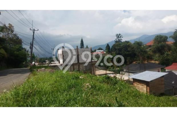 Jual cepat tanah puncak legalitas SHM 