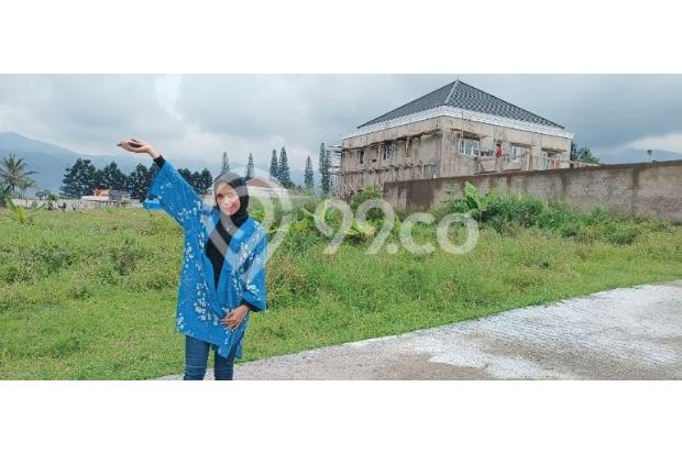Kavling Villa Citeko Cisarua Puncak Bogor
