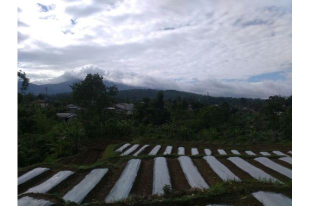 TANAH di jual