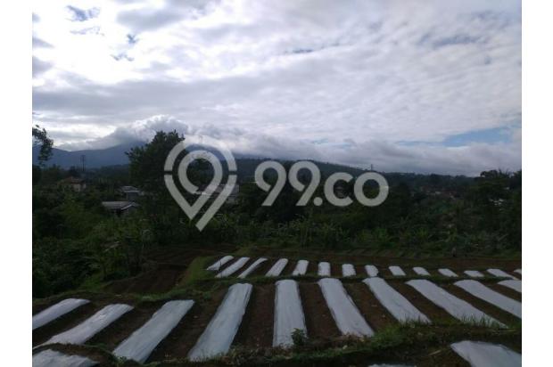 TANAH di jual