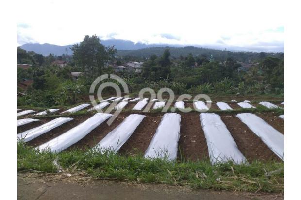 TANAH di jual
