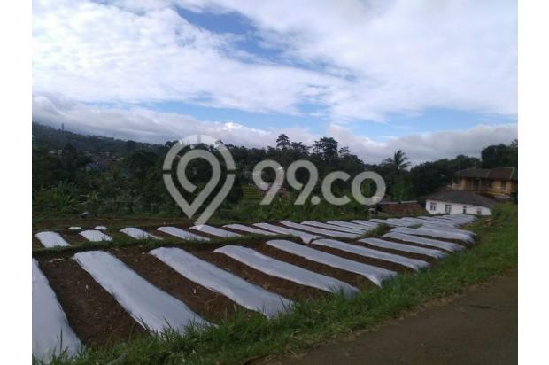 TANAH di jual