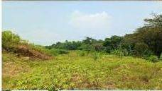 Dijual Tanah di Grand Sentul Bogor Jawa Barat