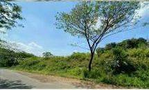 Dijual Tanah di Grand Sentul Bogor Jawa Barat
