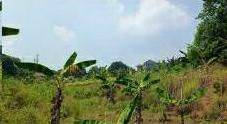 Dijual Tanah di Grand Sentul Bogor Jawa Barat