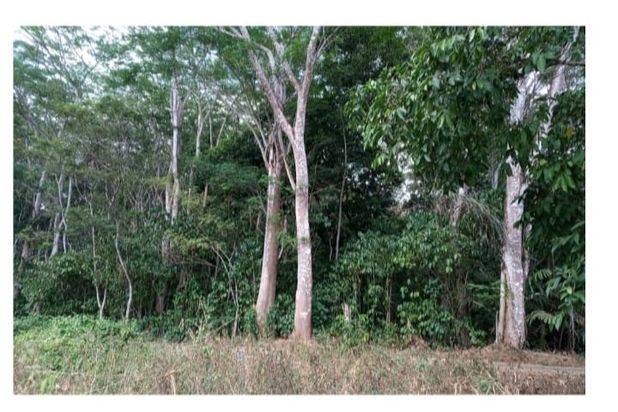 Tanah Jual 200jt di Sukasari Kaler, Argapura, Majalengka