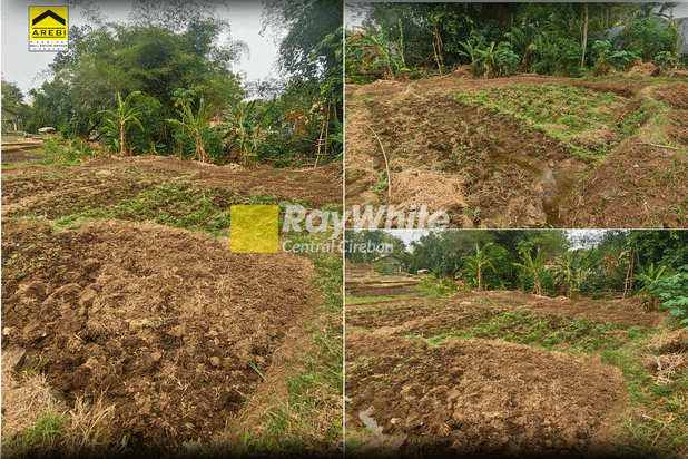 Tanah di Blok Rororgan Balong, Majalengka Kulon, Majalengka SHM 195 m²