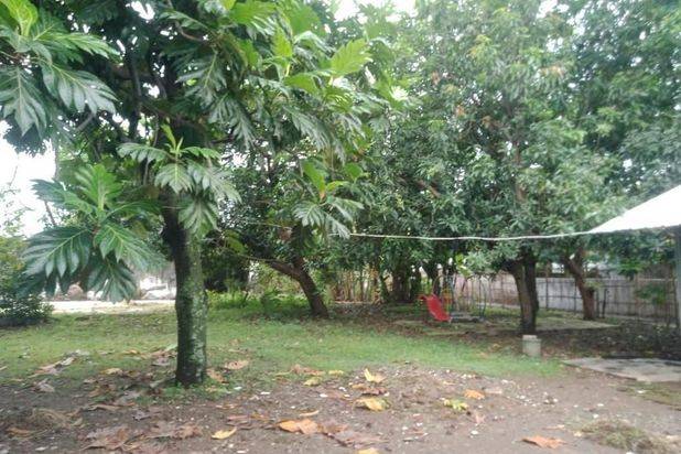 Dijual Tanah Cocok untuk Investasi di Cirebon Kota