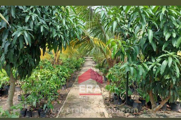 Dijual Tanah Rata kebun Sudah SHM di Bengle, Majalaya, Karawang