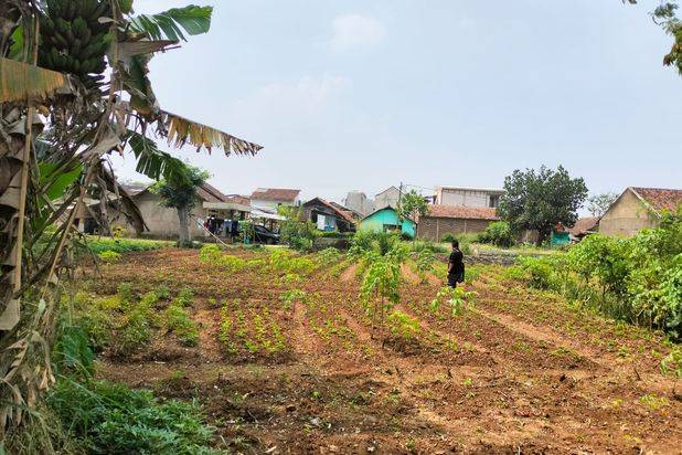 Dijual Tanah Bojongmalaka Rancamanyar