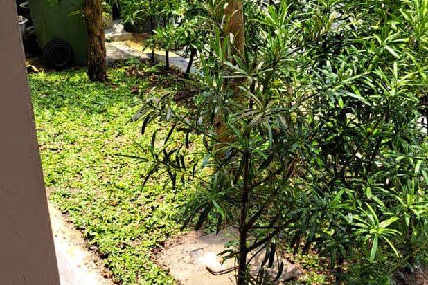 Dijual murah rumah 1½ Lantai full renovasi di Royal Grande batam centre