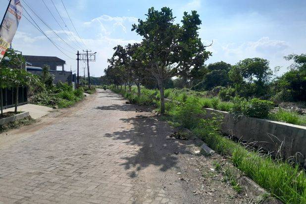 Tanah 15 Ha Pinggir Jalan Raya Dekat Terminal Pakupatan