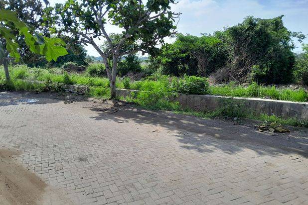 Tanah 15 Ha Pinggir Jalan Raya Dekat Terminal Pakupatan